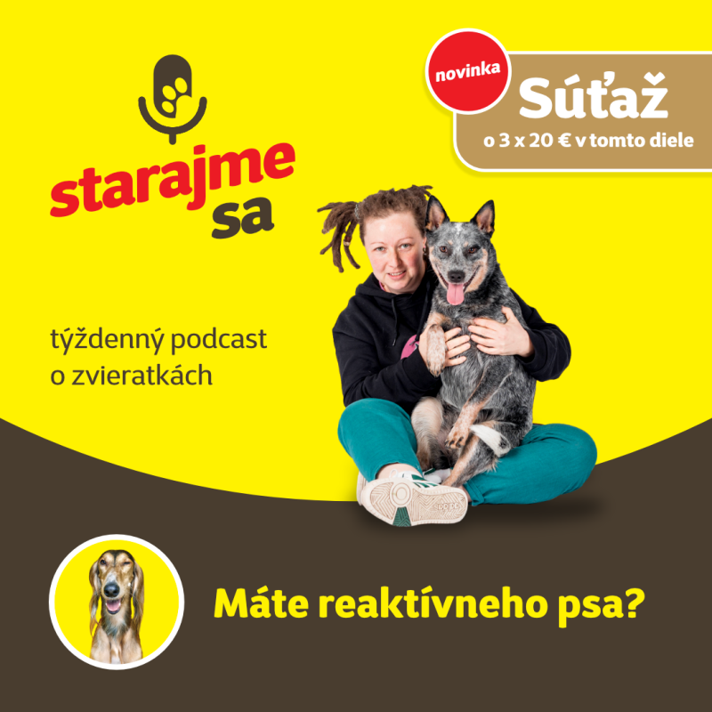 Obrázek epizody Psy: Máte reaktívneho psa?