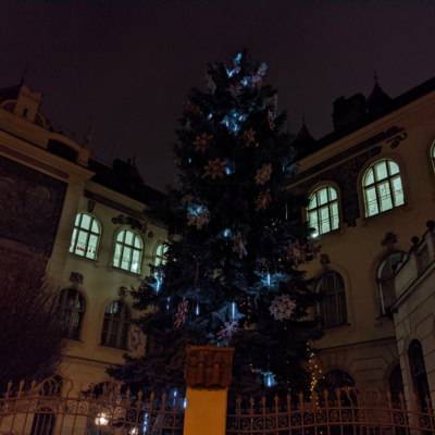 Obrázek epizody Vánoční anketa ✨