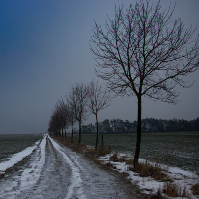 Obrázek epizody Poutník po starých stezkách: proč?