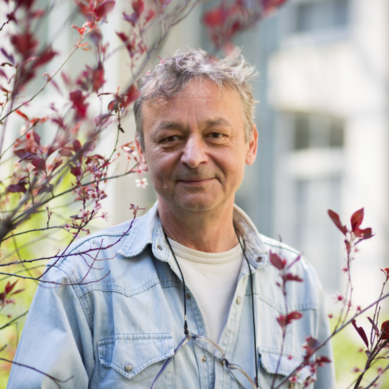 Obrázek epizody Dětský hudební talent - jak ho rozvíjet?