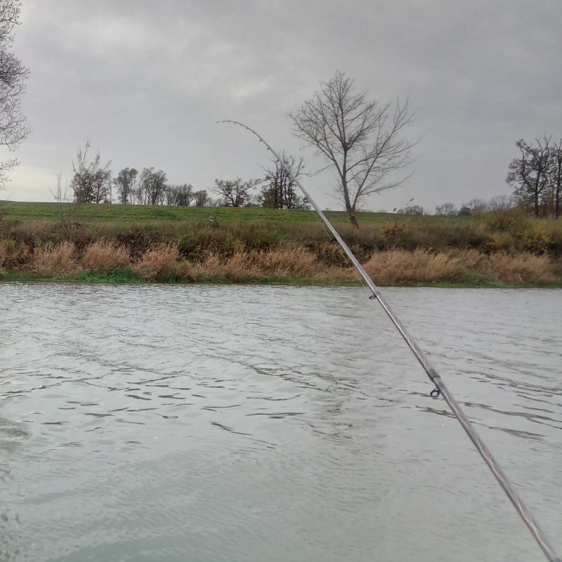 Obrázek epizody Feeder a picker a úžitečné postřehy pro začátečníky