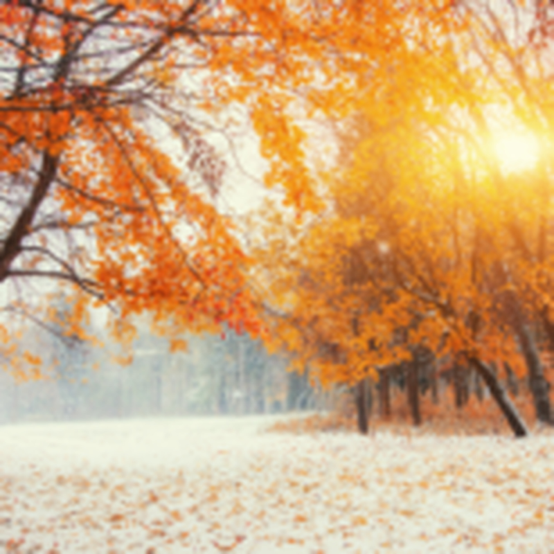 Obrázek epizody HOROSKOPY: Panna, pozornost věnujte protějšku. Chybí mu vaše náklonnost, bojí se to říct