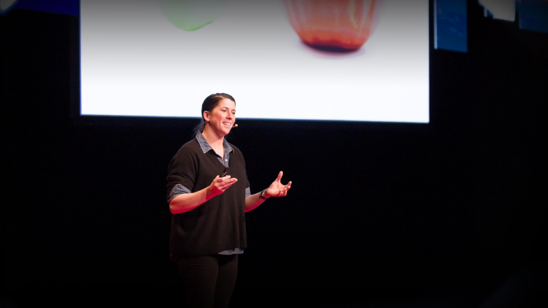 Obrázek epizody Big data, small farms and a tale of two tomatoes | Erin Baumgartner