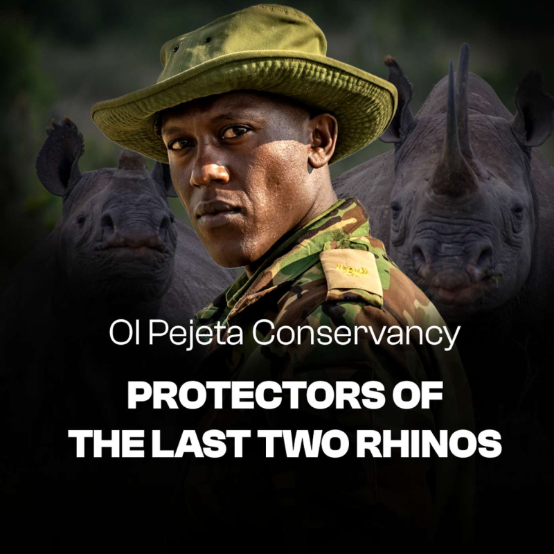 Obrázek epizody The Last of Their Kind. These Rhinos Are Guarded 24 Hours a Day. What Does Their Round-the-Clock Protection Involve?