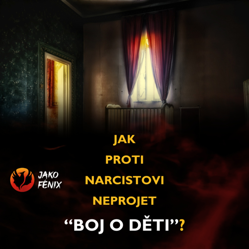 Obrázek epizody [ Narcismus a toxické vztahy ] - JAK S NARCISTOU NEPROJET "BOJ O DĚTI"?