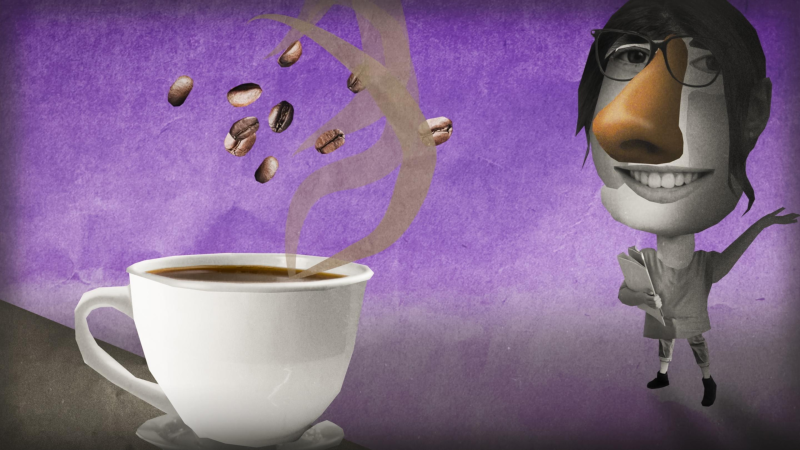 Obrázek epizody How your sense of smell helps you savor flavor | Jen Gunter