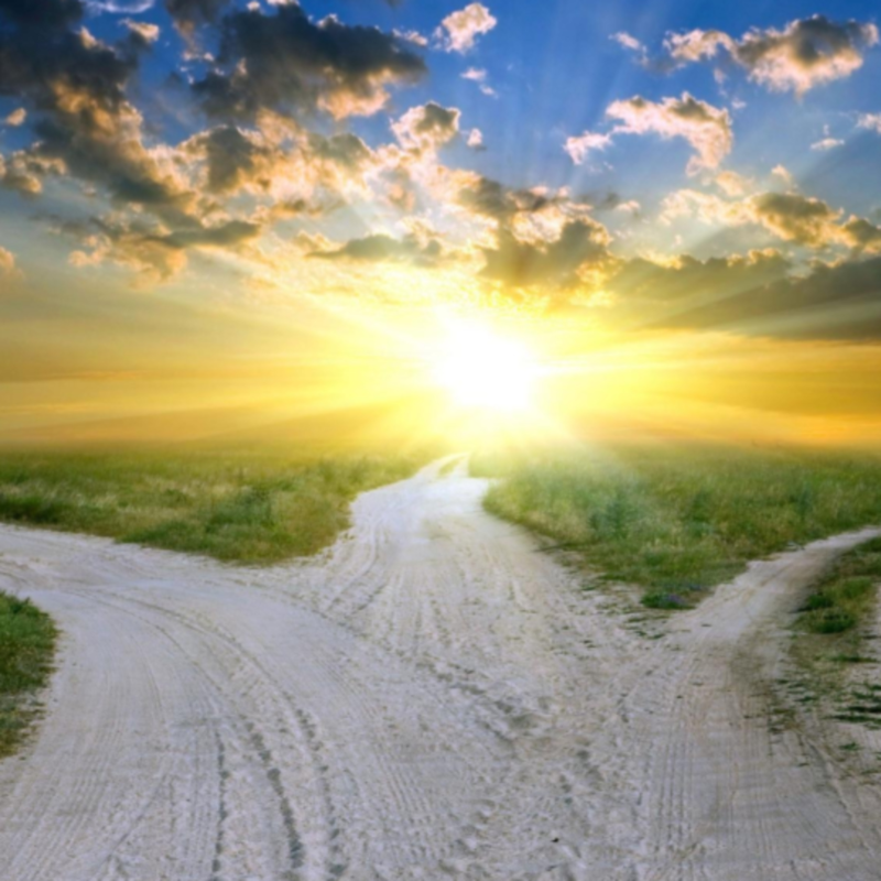 Obrázek epizody Kde je vůle, tam je cesta