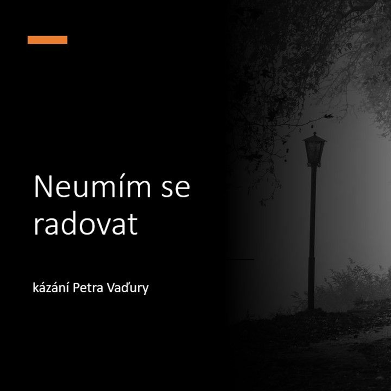 Obrázek epizody Neumím se radovat - Petr Vaďura