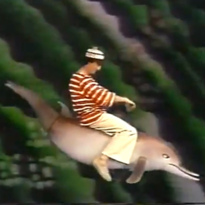 Obrázek epizody 2026-02-17 TROJKA (Koubová, Kotek, Zapletalová)