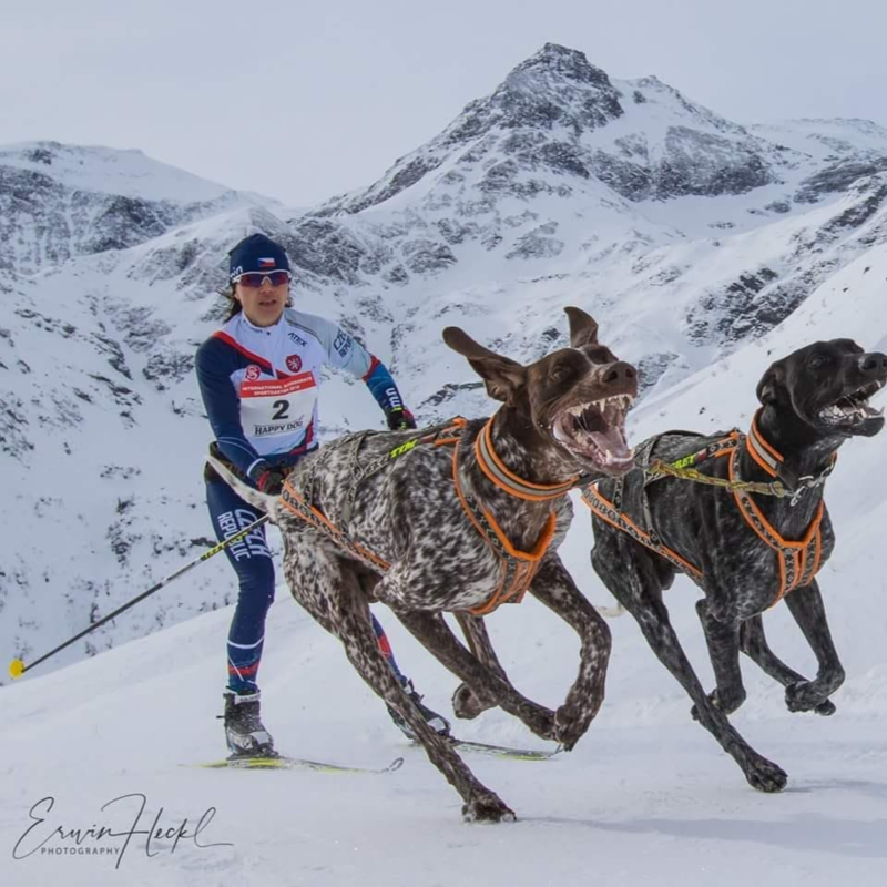 Obrázek epizody Martina Štěpánková - Mushing (Rozhovor)