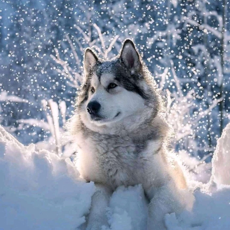 Obrázek epizody Dj Krisz 2021