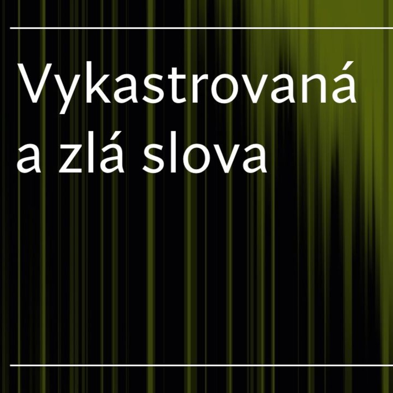 Obrázek epizody Vykastrovaná a zlá slova - Petr Vaďura