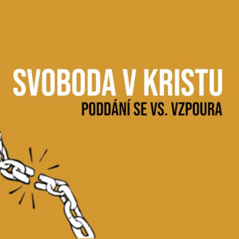 Obrázek epizody SVOBODA V KRISTU: Vzpoura vs. poddání se