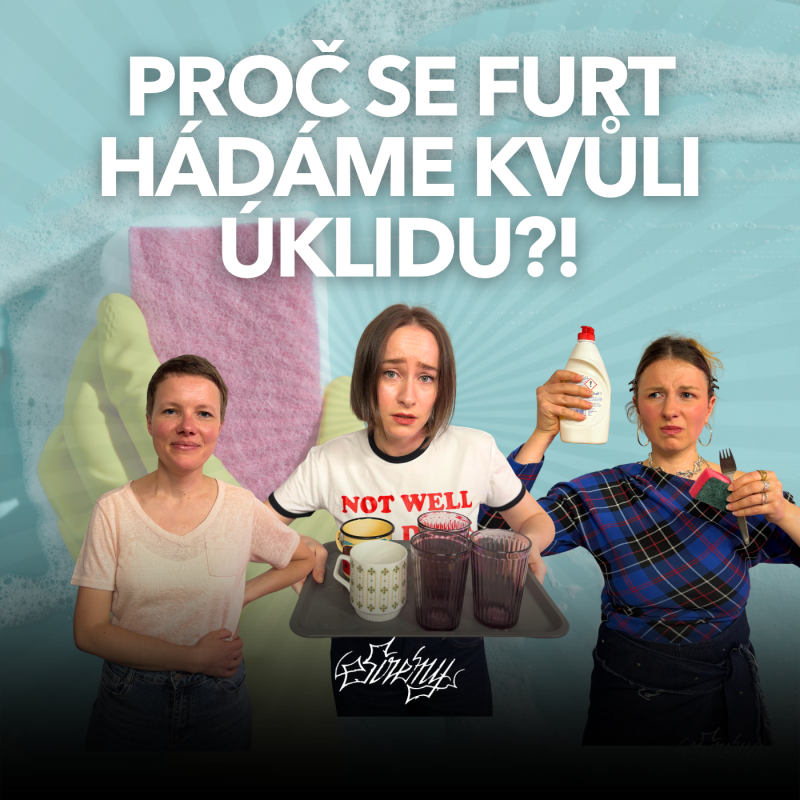 Obrázek epizody Pračka ani vysávací robot to nespasí. Proč se tak hádáme o to, kolik toho děláme doma?