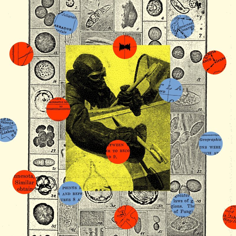 Obrázek epizody Revenge of the Miasma