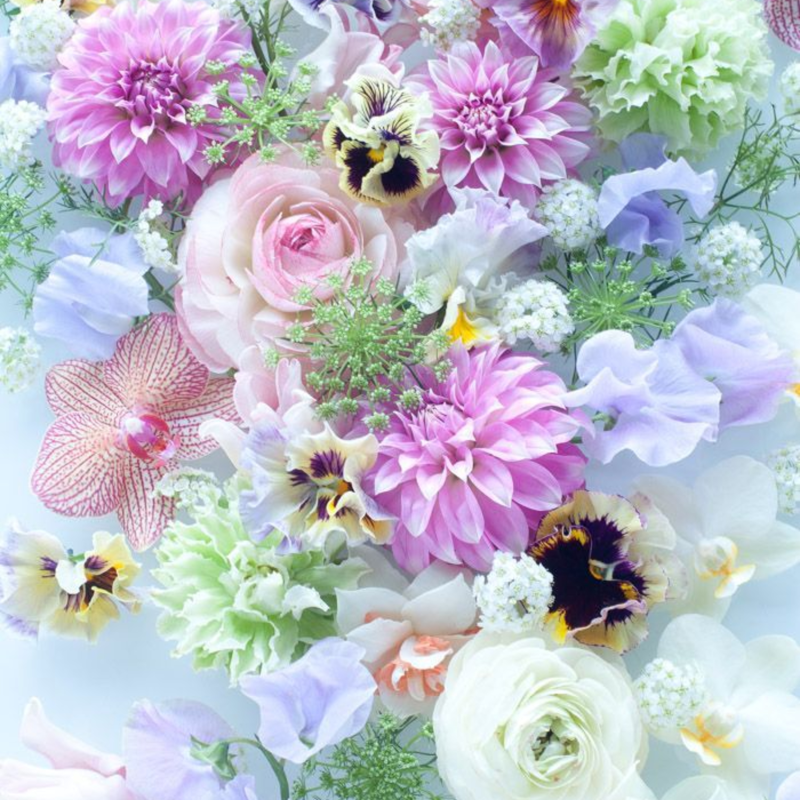 Obrázek epizody Vděčnost