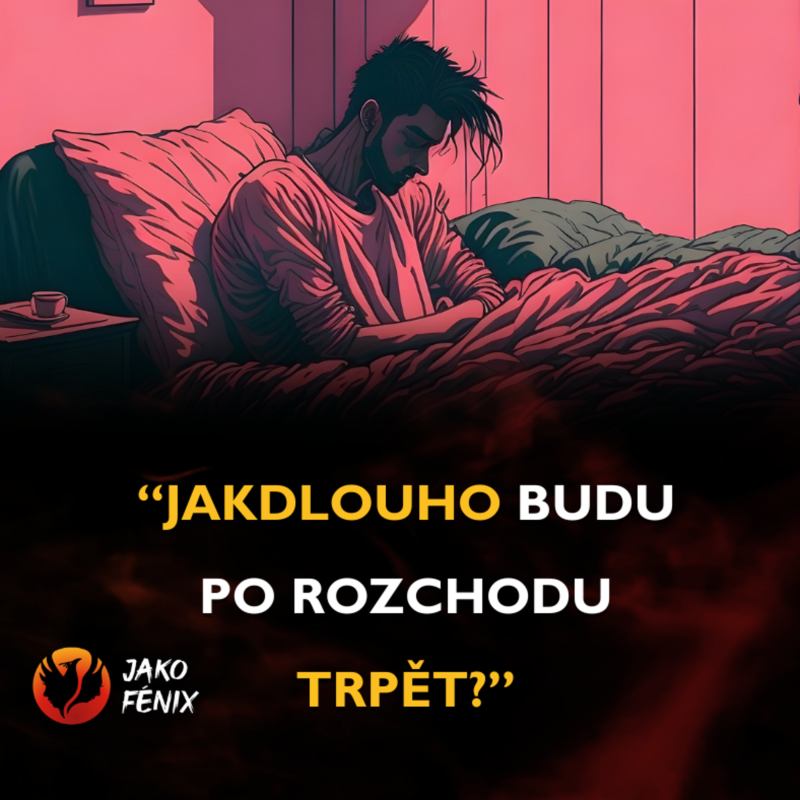 Obrázek epizody “JAK DLOUHO BUDU PO ROZCHODU TRPĚT?”