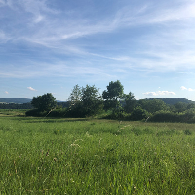 Obrázek epizody #9 Dokončení