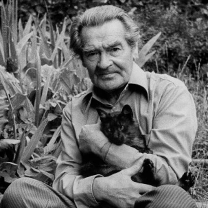 Obrázek epizody Týden s básníkem: Jiří Suchánek - Tiše padá sníh