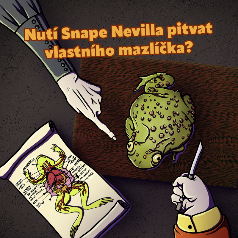 Obrázek epizody Nutí Snape Nevilla pitvat vlastního mazlíčka? (S4E14-1)