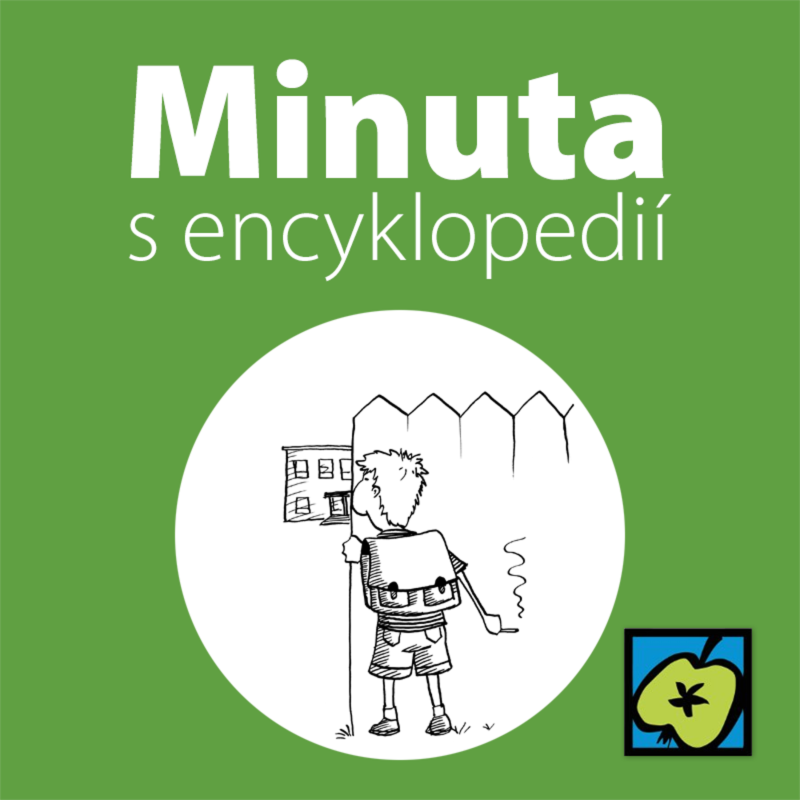 Obrázek epizody Školní docházka