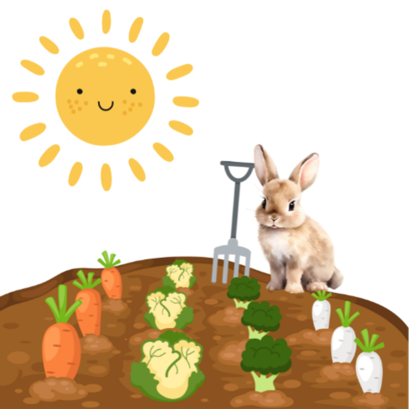 Obrázek epizody #17 Kuna v revíru