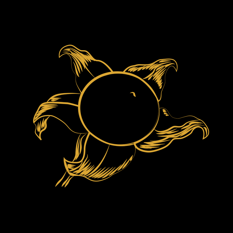 Obrázek epizody Podcast on Witchcraft with Belladonna