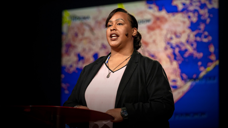 Obrázek epizody Climate change will displace millions. Here's how we prepare | Colette Pichon Battle