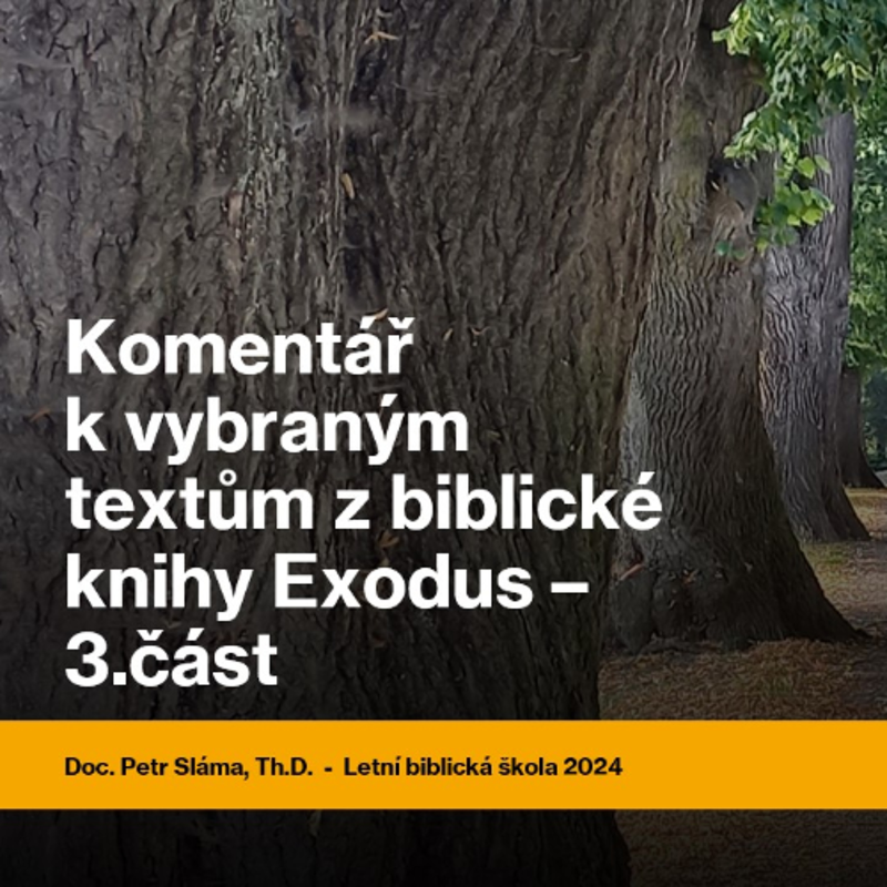 Obrázek epizody Komentář k vybraným textům z biblické knihy Exodus – 3.část