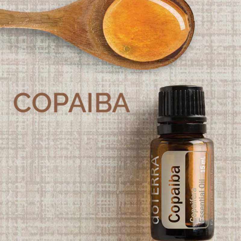 Obrázek epizody Tajemství Amazonského Pralesa: Léčivá Síla Copaiba Oleje 🌳💧