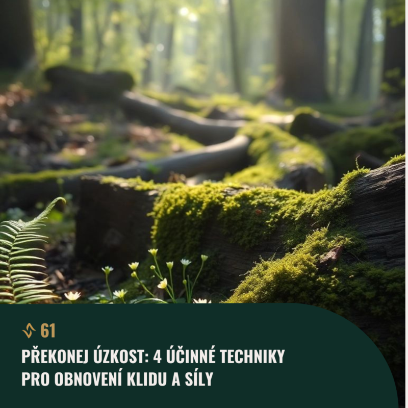 Obrázek epizody #61 Překonej ÚZKOST: 4 účinné techniky pro obnovení klidu a síly