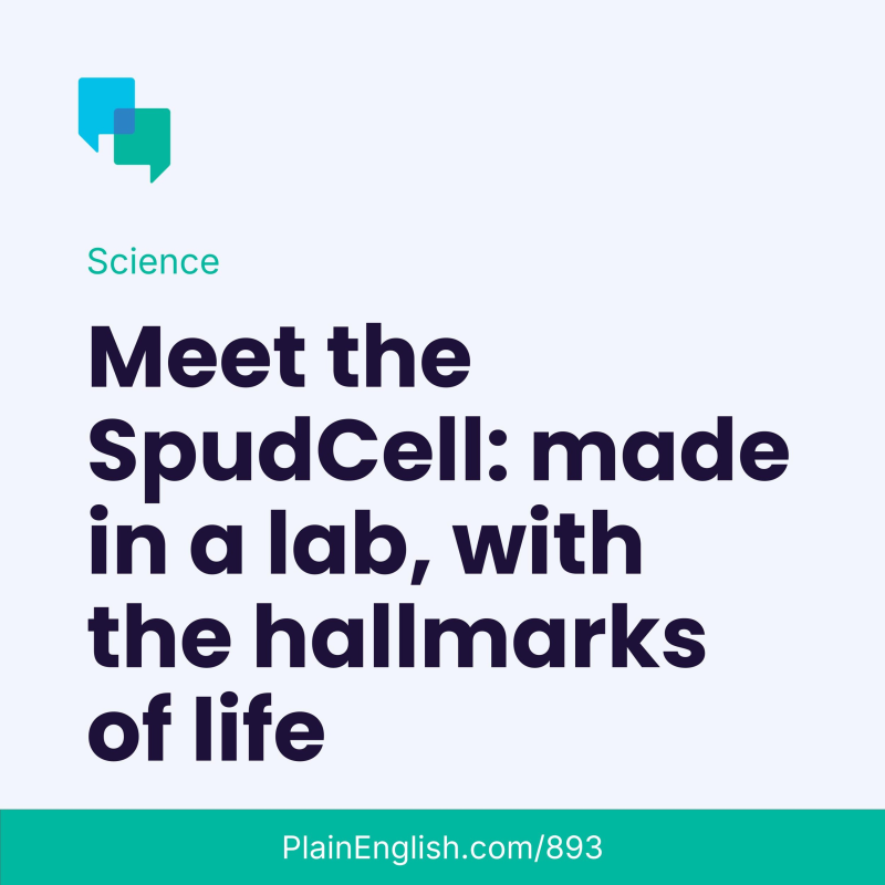 Obrázek epizody Meet the lab-made SpudCell