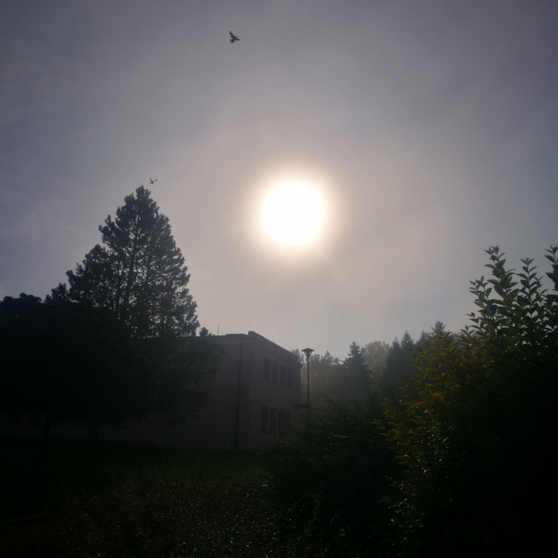 Obrázek epizody 04:: Svěží ráno! Mlha. Slunce. Živo.