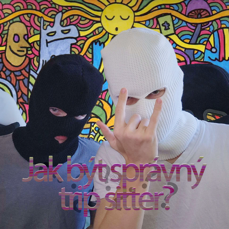Obrázek epizody Jak být správný trip sitter ?