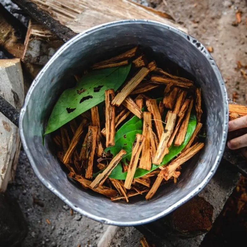 Obrázek epizody Zátiší 7/2/2024: Viktor Mravčík