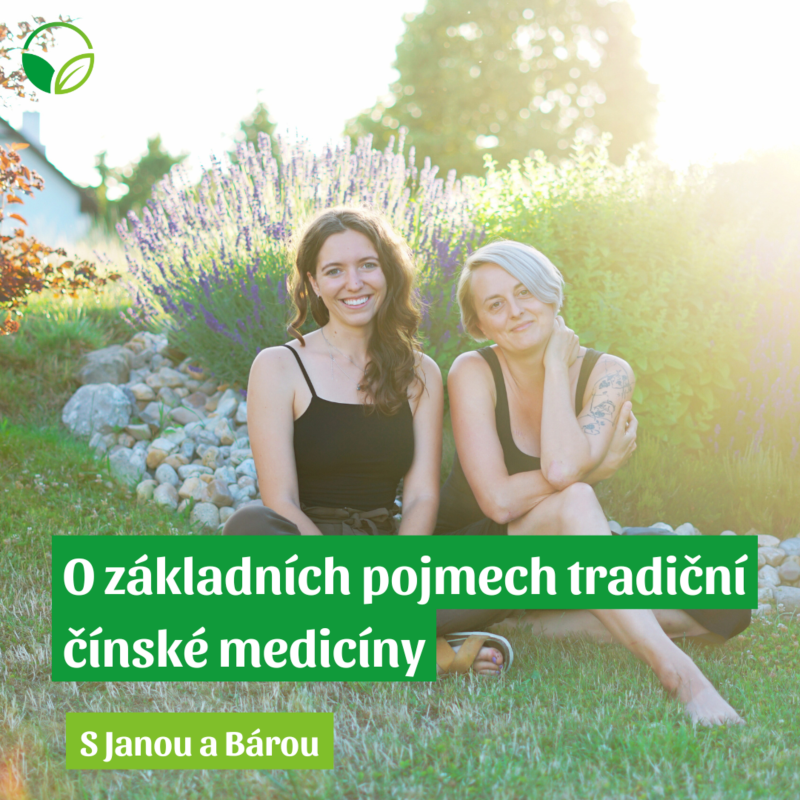 Obrázek epizody O všem s Janou a Bárou | O základních pojmech tradiční čínské medicíny
