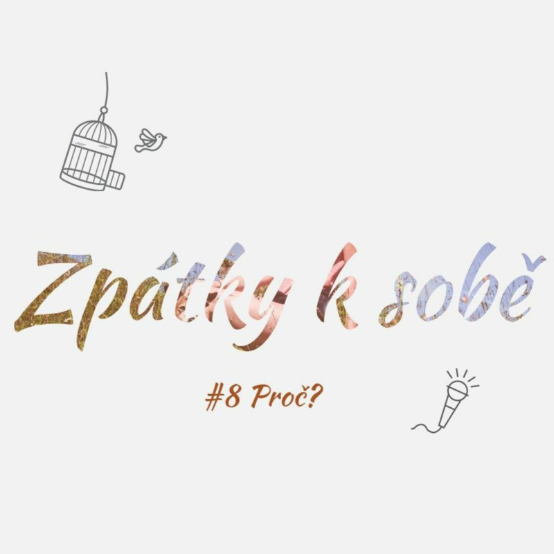 Obrázek epizody #8 Proč?