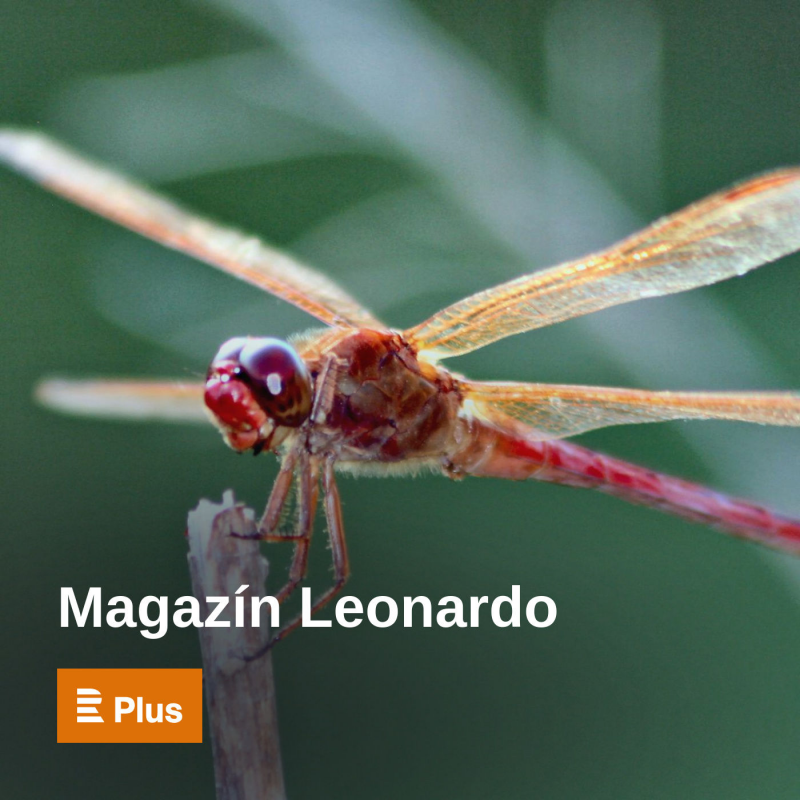 Obrázek epizody Rozhovor s editorem vědeckého magazínu Scientific American