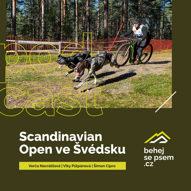 Obrázek epizody Scandinavia Open Championship