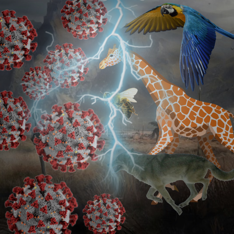 Obrázek epizody Koronavirus vs. Životní prostředí