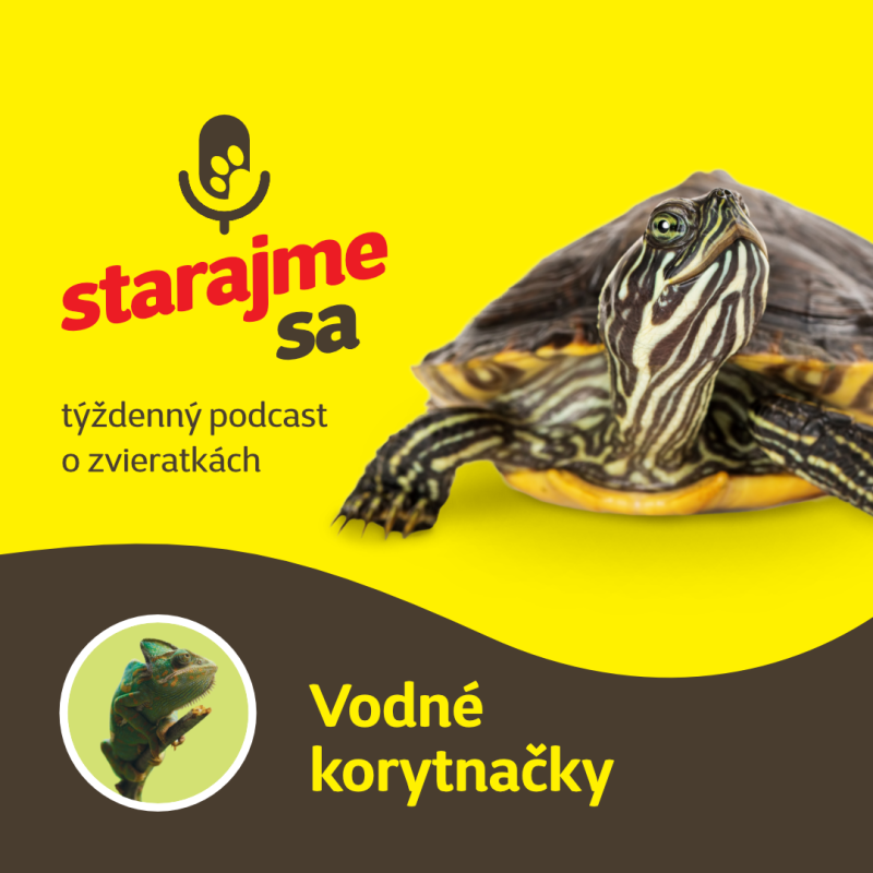Obrázek epizody Teraristika: Vodné korytnačky