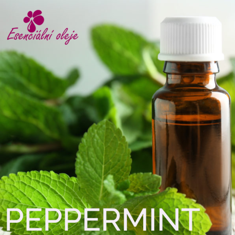 Obrázek epizody Osvěžující vítr: Síla Oleje z Máty Peprné 🍃💨