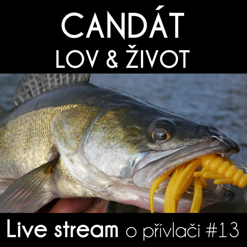 Obrázek epizody Přívlač Live #13 Jak ulovit candáta a jeho život