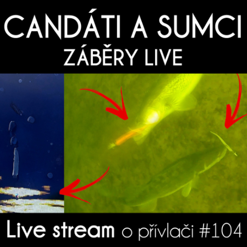 Obrázek epizody Přívlač Live #104 - Unikátní záběry candátů a sumců na nástrahu LIVE!