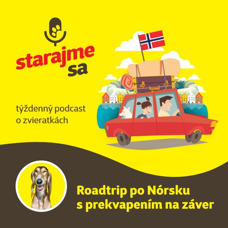 Obrázek epizody Psy: Roadtrip po Nórsku s prekvapením na záver