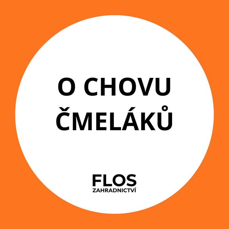 Obrázek epizody O chovu čmeláku