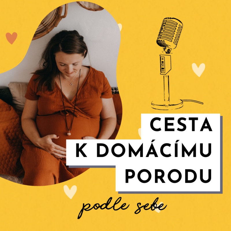 Obrázek epizody Cesta k domácímu porodu