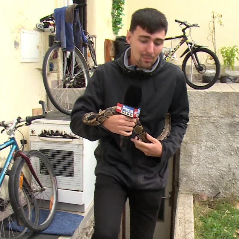 Obrázek epizody Krimi zprávy (928)