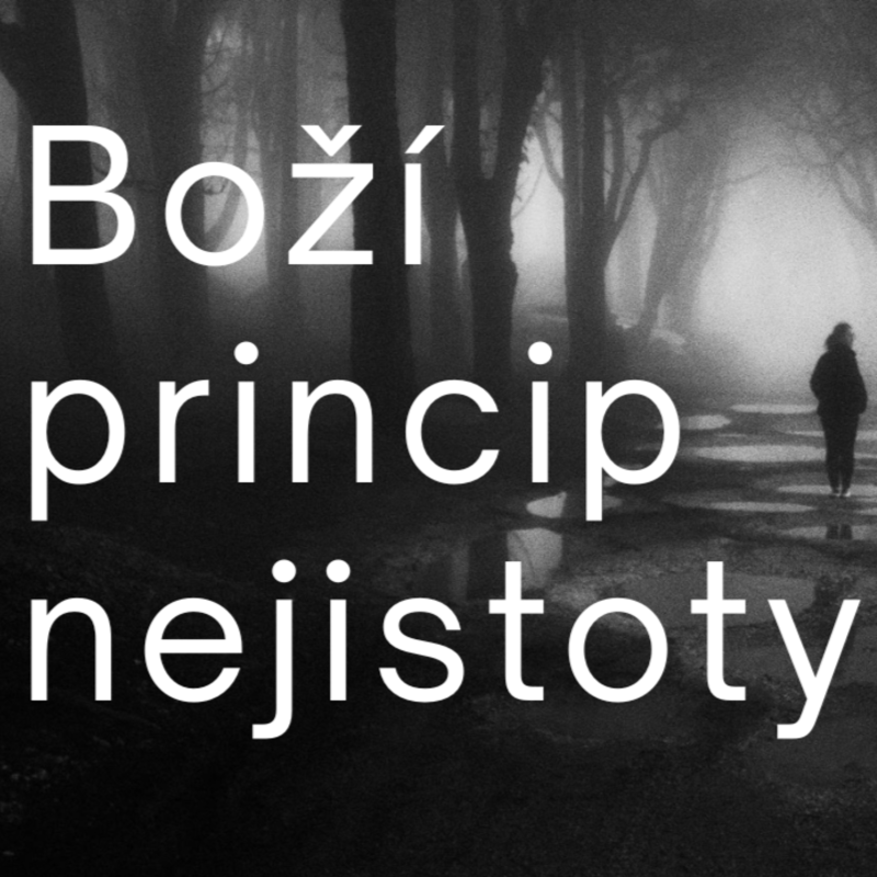 Obrázek epizody Boží princip nejistoty