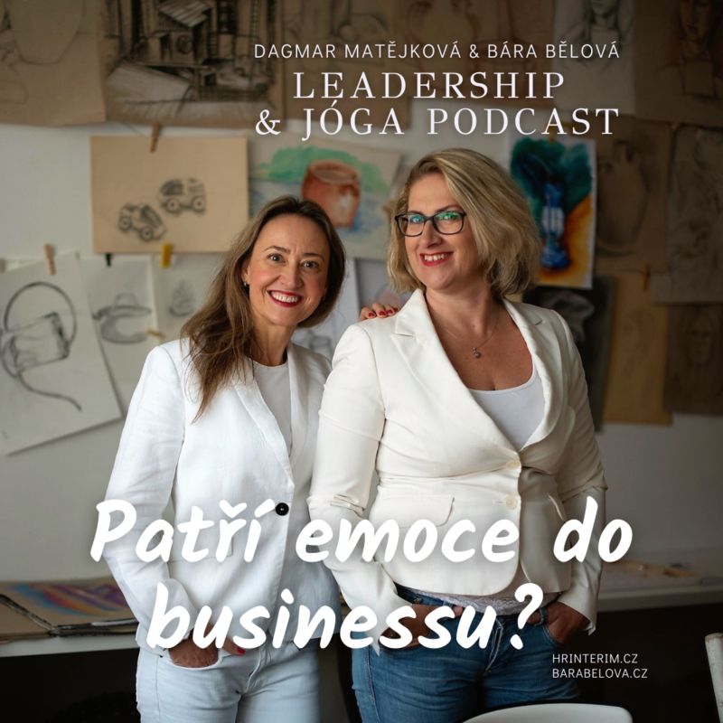Obrázek epizody Patří emoce do businessu?